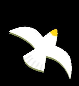 DƬ